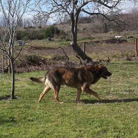 Dom wakacyjny Casa Batucela