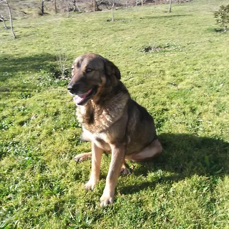 Casa Batucela Monte Serrano