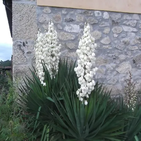 Casa Batucela Monte Serrano