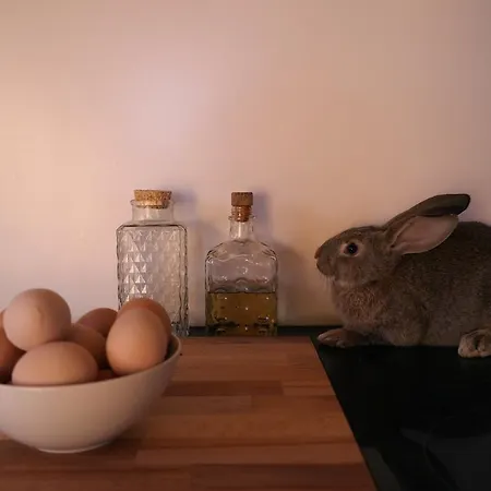 度假居 卡萨巴图塞拉度假屋