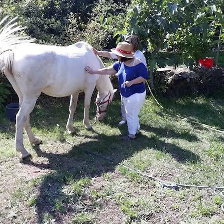 Dom wakacyjny Casa Batucela