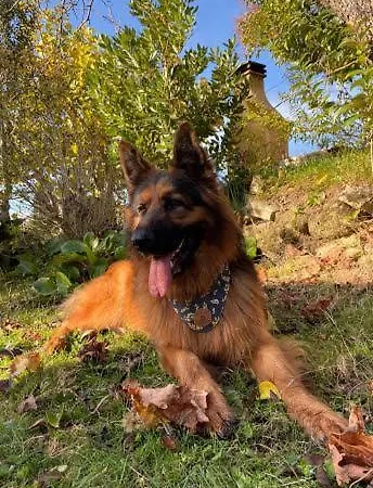 卡萨巴图塞拉度假屋 度假居