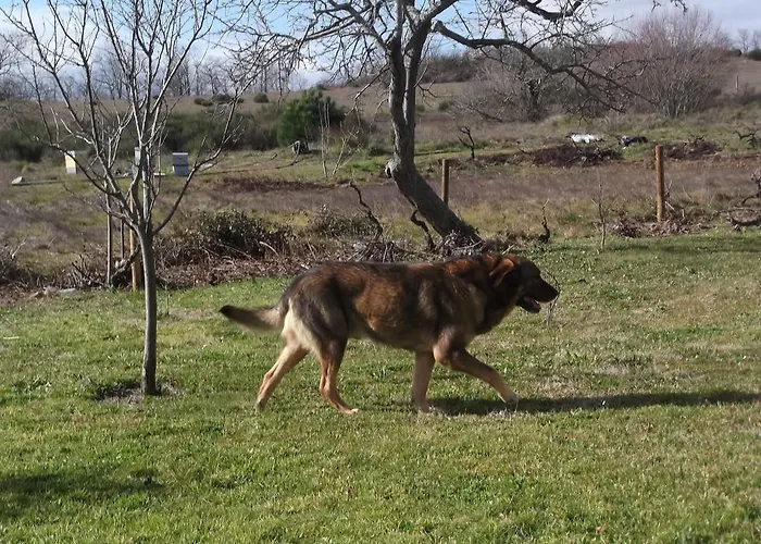 Casa vacanze Casa Batucela