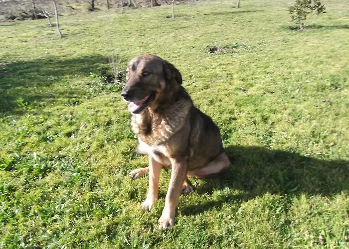 Casa Batucela Monte Serrano