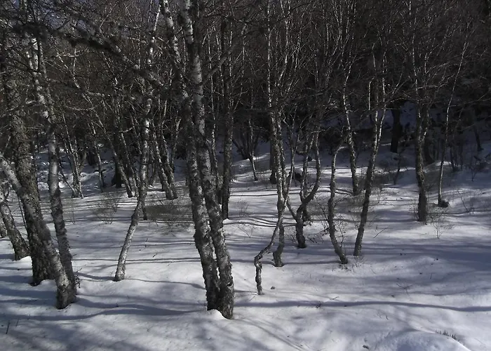 Casa Batucela * Monte Serrano