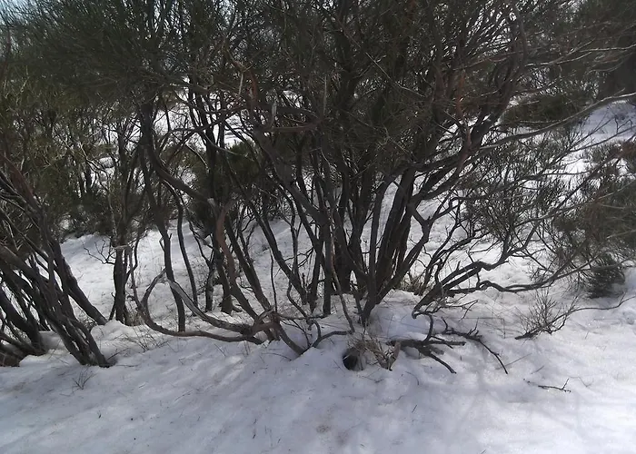 Dom wakacyjny Casa Batucela