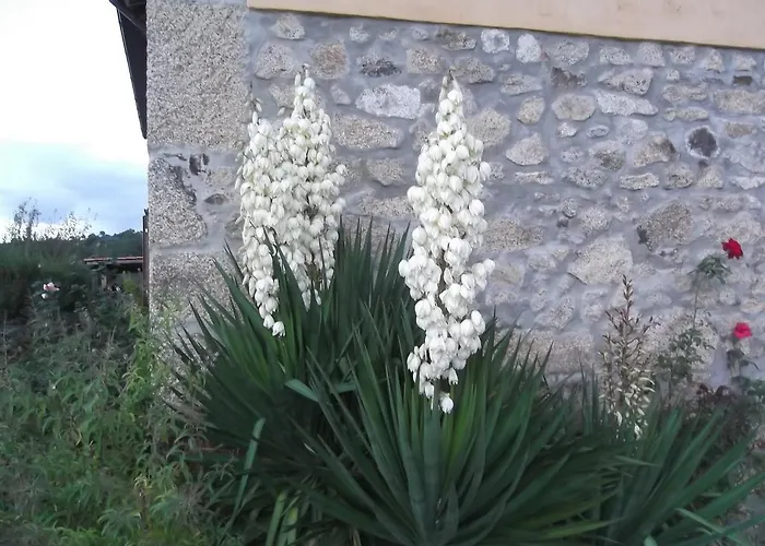 Casa Batucela Monte Serrano