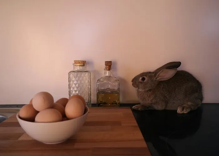 Casa vacanze Casa Batucela