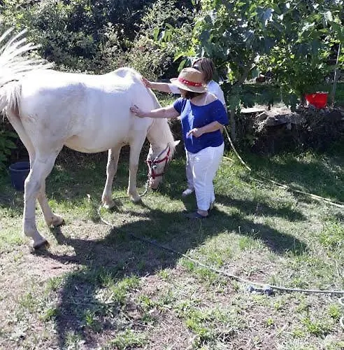 Casa vacanze Casa Batucela