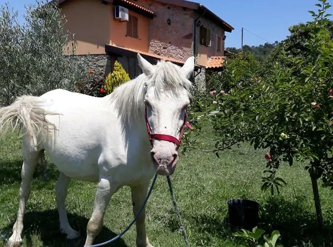 Casa Batucela * Monte Serrano