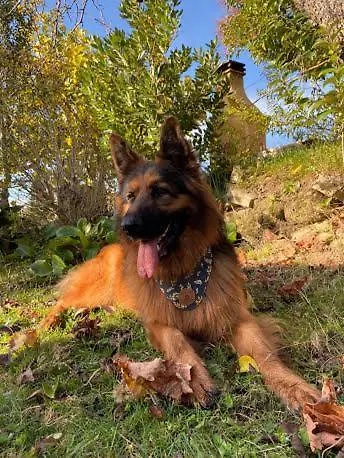 Casa Batucela Casa vacanze